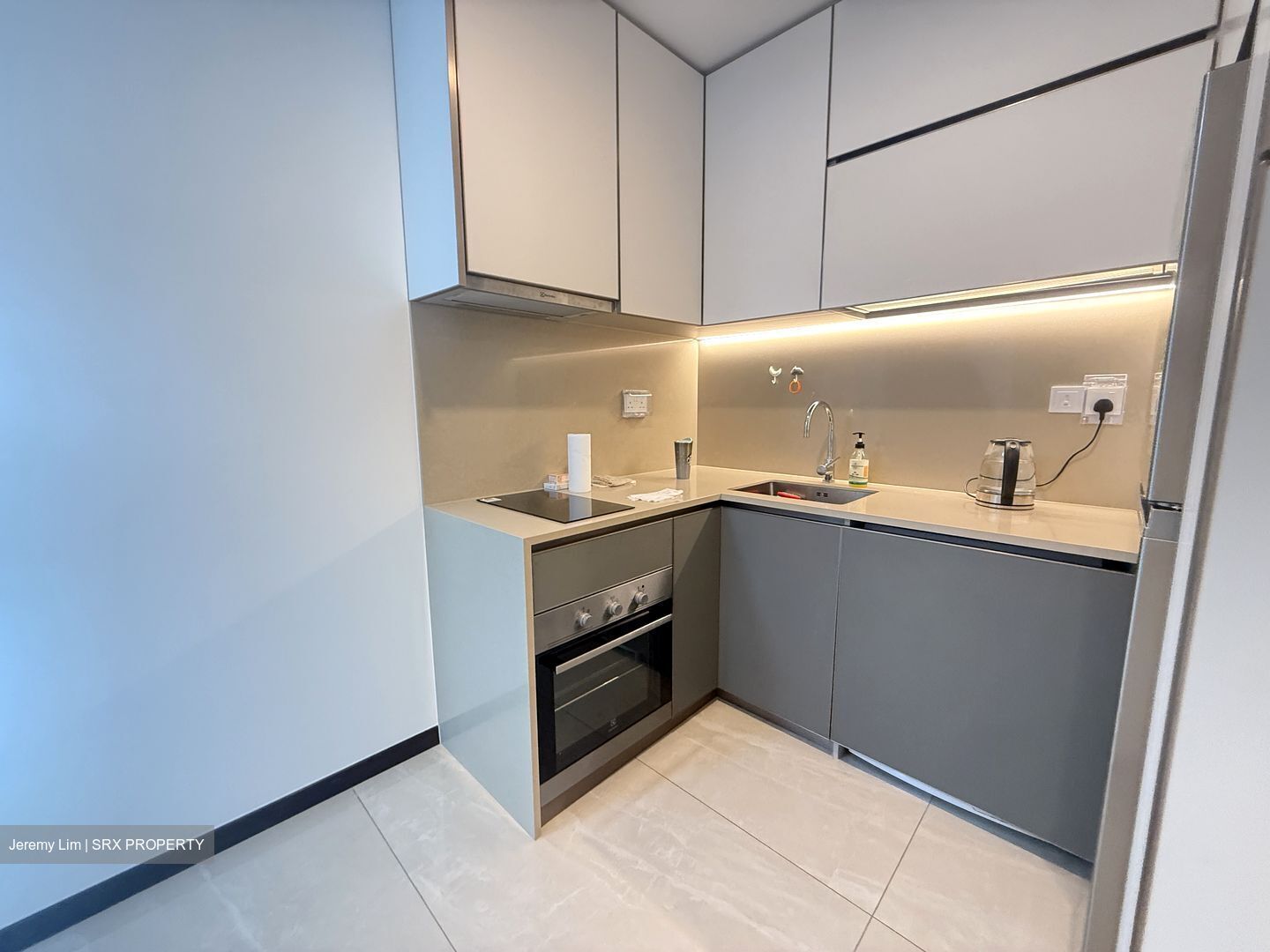 Normanton Park (D5), Apartment #452602111